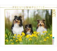 CALVENDO Puzzle Le Printemps en Approche 1000 Pieces 64 x 48 cm from Marion Reiß - Seibert