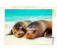 Puzzle CALVENDO Le repos des otaries | 1000 pièces, format assemblé 64 × 48 cm |