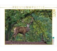 Puzzle CALVENDO Le roi de la forêt | 1000 pièces, format assemblé 64 × 48 cm | P