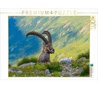 Puzzle CALVENDO Le roi des Alpes | 1000 pièces, format assemblé 64 × 48 cm | Puz