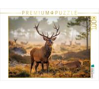 Puzzle CALVENDO Le roi des ombres. | 1000 pièces, format assemblé 64 × 48 cm | P