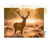 Puzzle CALVENDO Le roi du matin doré | 1000 pièces, format assemblé 64 × 48 cm |