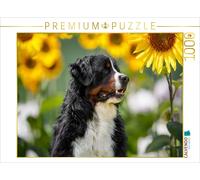 Puzzle CALVENDO Le temps des tournesols | 1000 pièces, format assemblé 64 × 48 c
