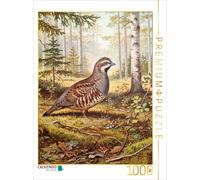 Puzzle CALVENDO Le tétras lyre : un oiseau plus rare que les peintures | 1000 pi