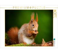 Puzzle CALVENDO L'écureuil | 1000 pièces, format assemblé 64 × 48 cm | Puzzle ph