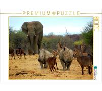 CALVENDO Puzzle Éléphant et Autres Animaux africains 1000 Pieces 64 x 48 cm from Eduard Tkocz