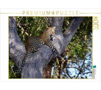 CALVENDO Wibke Woyke Puzzle Léopard dans l'arbre Afrique 1000 pièces Taille de la Pose 64 x 48 cm Photo Puzzle Image