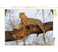 Puzzle CALVENDO Léopard, réserve animalière de Sabi Sands, Afrique du Sud | 1000
