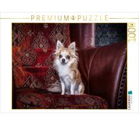 CALVENDO Puzzle Chihuahuas - Cool & Nice 1000 Pieces 64 x 48 cm from Oliver Pinkoss
