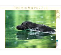 Puzzle CALVENDO Les chiots chihuahuas et leurs amis | 1000 pièces, format assemb