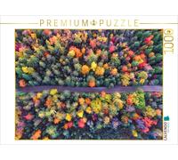CALVENDO Puzzle Coloration de la forêt en été Indien 1000 Pieces 64 x 48 cm from Renate Bleicher