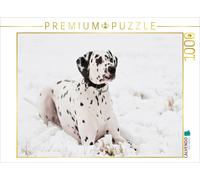 CALVENDO Puzzle Dalmatien en Hiver 1000 Pieces 64 x 48 cm from Sista-Tierfoto
