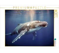 Puzzle CALVENDO Les esprits brillants du règne animal - Des faits étonnants. | 1