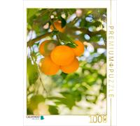 CALVENDO Puzzle Fruits dans Le Jardin 1000 Pieces 48 x 64 cm from Carmen Steiner
