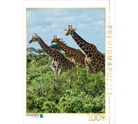 Puzzle CALVENDO Les girafes. Pleines de fierté et de grâce | 1000 pièces, format