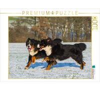 CALVENDO Puzzle Les plaisirs de l'hiver avec Les Chiens de Montagne Bernois 1000 Pieces 64 x 48 cm from Sista-Tierfoto