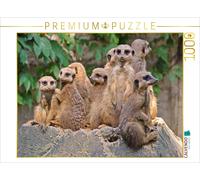 Puzzle CALVENDO Les liens familiaux chez les suricates | 1000 pièces, format ass