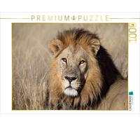Puzzle CALVENDO Les Lions - Pascha | 1000 pièces, format assemblé 64 × 48 cm | P