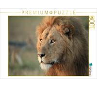 CALVENDO Puzzle Lions - Promenade matinale 1000 Pieces 64 x 48 cm from Michael Herzog