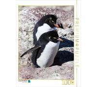CALVENDO Puzzle Rockhopper Pingouins, Isla de Los Pingüinos, 1000 pièces, Taille de la Ponte, 48 x 64 cm, Photo Puzzle Image par Sabine Reuke