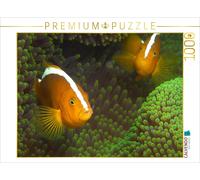 CALVENDO Puzzle Les Nemos dans Leur Maison Verte 1000 Pieces 64 x 48 cm from Ute Niemann