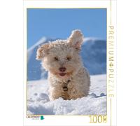 CALVENDO Puzzle Les Oreilles du Lagotto entendent Tout 1000 Pieces 48 x 64 cm from wuffclick-pic