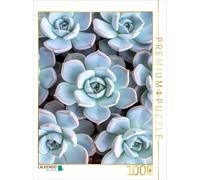 Puzzle CALVENDO Les plantes succulentes Echeveria vues d'en haut | 1000 pièces,