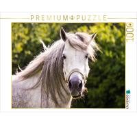 Puzzle CALVENDO Les poneys gallois de Lulu | 1000 pièces, format assemblé 64 × 4