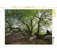 CALVENDO Puzzle Premier Vert en Avril 1000 Pieces 64 x 48 cm from Bernhard Loewa
