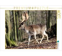 CALVENDO Puzzle Rois de la forêt : Les Cerfs 1000 Pieces 64 x 48 cm from Arno Klatt