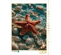 Puzzle CALVENDO Les trésors de la mer | 1000 pièces, format assemblé 64 × 48 cm