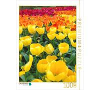 Puzzle CALVENDO Les tulipes Triumph | 1000 pièces, format assemblé 64 × 48 cm |
