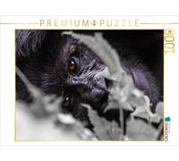 CALVENDO Puzzle Les Yeux d'un Gorille 1000 Pieces 64 x 48 cm from Hawkeyes-Pictures