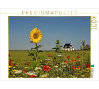 CALVENDO Puzzle Sommer Auf der Insel 1000 Teile Puzzle quer 1000 Pieces 64 x 48 cm from Bettina Hackstein