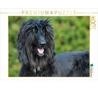 CALVENDO Puzzle Chien Afghan - Jeune Chien Noir 1000 Pieces 64 x 48 cm from Sista-Tierfoto