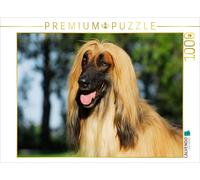 CALVENDO Puzzle Chien Afghan - Portrait de mâle 1000 Pieces 64 x 48 cm from Sista-Tierfoto