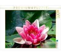 Puzzle CALVENDO Libellules sur un nénuphar | 1000 pièces, format assemblé 64 × 4