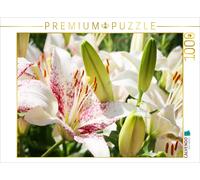 Puzzle CALVENDO Lilie 'Oriental Muscadet' | 1000 pièces, format assemblé 64 × 48