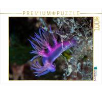 CALVENDO Puzzle Nudibranche en mer Méditerranée 1000 Pieces 64 x 48 cm from Dieter Gödecke