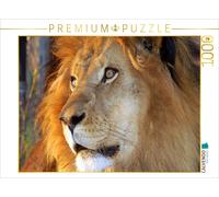 CALVENDO Puzzle Lion 1000 Pieces 64 x 48 cm from Eduard Tkocz