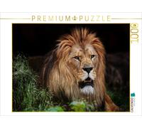 Puzzle · Lion du Berber | 1000 pièces · Format assemblé 64 × 48 cm · CALVENDO Puzzle