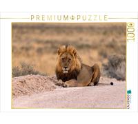 Puzzle · Lion majestueux | Le roi des animaux observe son vis-à-vis et est prêt à bondir · 1000 pièces · Format assemblé 64 × 48 cm · CALVENDO Puzzle