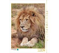 CALVENDO Puzzle Lion mâle 1000 Pieces 48 x 64 cm from Thula