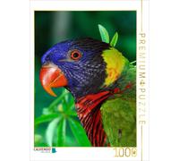 Puzzle CALVENDO lori de bijoux | 1000 pièces, format assemblé 64 × 48 cm | Puzzl