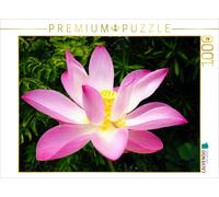 CALVENDO Puzzle Lotus Rose Nelumbo Nucifera 1000 Pieces 64 x 48 cm from Travelpixx.COM