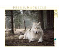 CALVENDO Puzzle Loup Blanc 1000 Pieces 64 x 48 cm from Arnaud