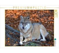 CALVENDO Puzzle Loup menteur 1000 Pieces 64 x 48 cm from GUGIGEI