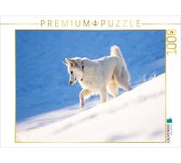 CALVENDO Puzzle Loup des neiges 1000 Pieces 64 x 48 cm from Martina Schikore