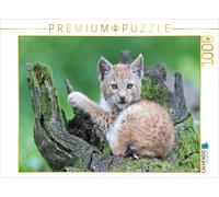 Puzzle CALVENDO lynx | 1000 pièces, format assemblé 64 × 48 cm | Puzzle photo po