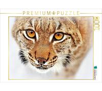 CALVENDO Puzzle Lynx 1000 Pieces 64 x 48 cm from GUGIGEI